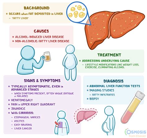 Cirrhosis of the Liver: Symptoms, Causes & Treatments